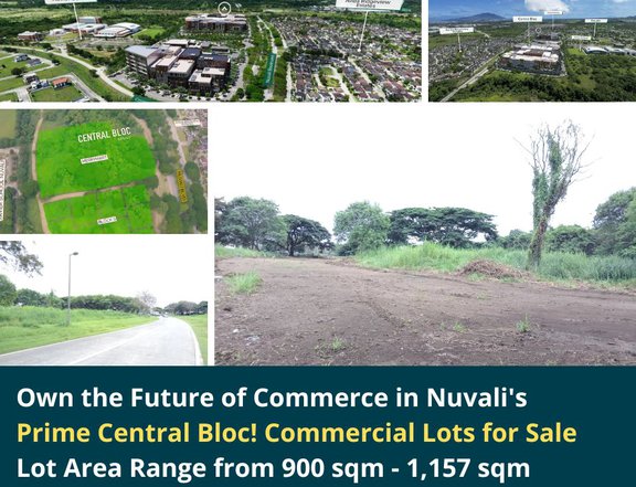 Prime Central Blocks Commercial Lot For Sale in Santa Rosa Laguna