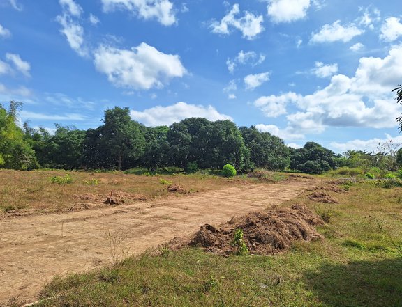 RESIDENTIAL FARM LOTS IN INDANG CAVITE, NO INCOME REQUIREMENTS