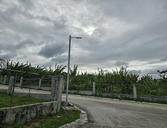 Residential Lot For Sale in Amadeo near highway