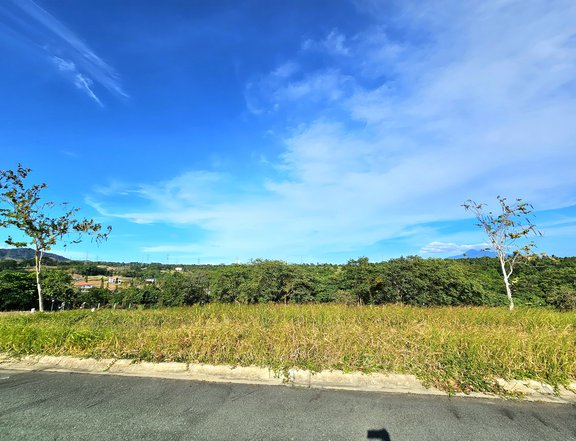 Tagaytay Highlands 300 sqm Exclusive Residential Lot For Sale