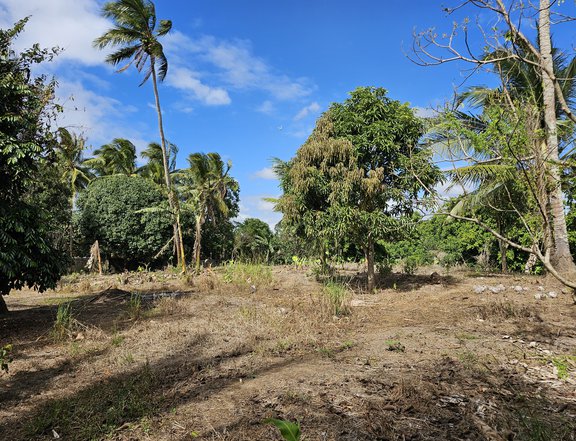 1000sqm Lot For Sale in Amadeo aling Provincial Road