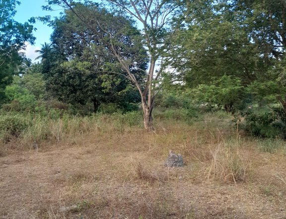 120 sqm Residential Lot For Sale in Glamang , Polomolok South Cotabato
