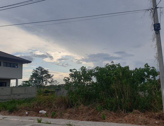 Cheapest lot for. Sale in iloilo city