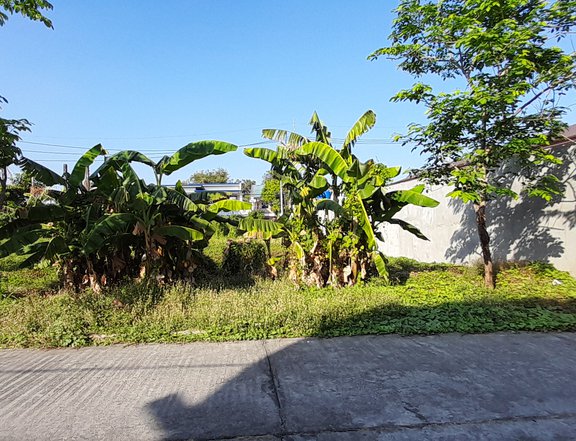 500 sqm Residential Lot For Sale By Owner in Baliuag Bulacan