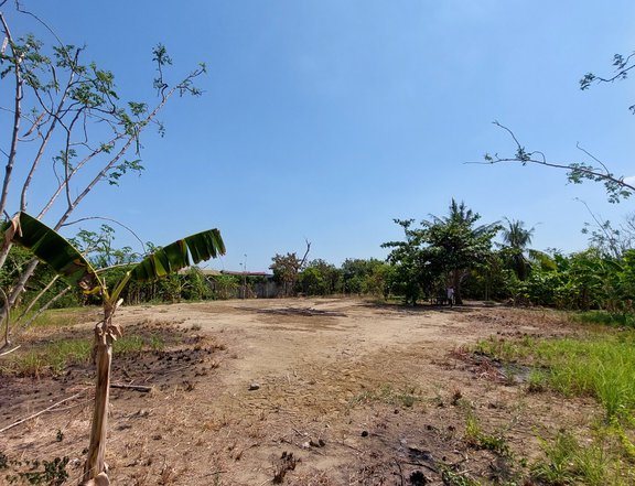 1,000 sqm Vacant Lot For Sale in Binmaley Pangasinan