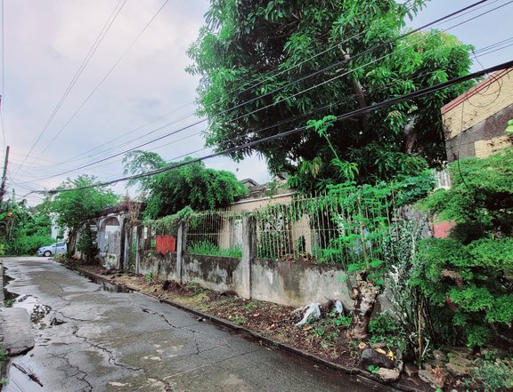 240 sqm Residential/Commercial Lot For Sale in Naga Camarines Sur