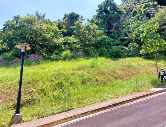 350 sqm Residential Lot For Sale in Tagaytay Cavite