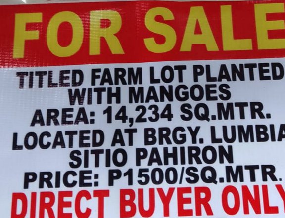 14,234 sqm Titled Lot Planted with Mangoes.