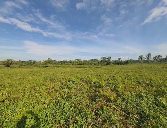 7.5 hectare Land For Sale ideal for Subdivision or Livestock Farming at Poblacion, Tagbina, SDS