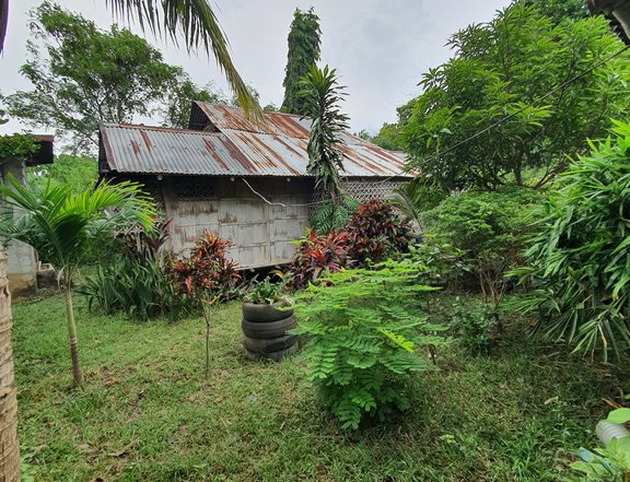 Direct owner,Vacant lot 800sqm for sale in Balabag,Pavia