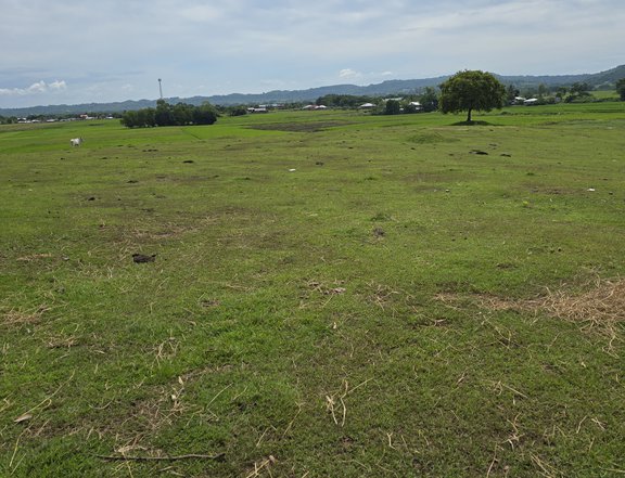 Farm lot for sale with overlooking view