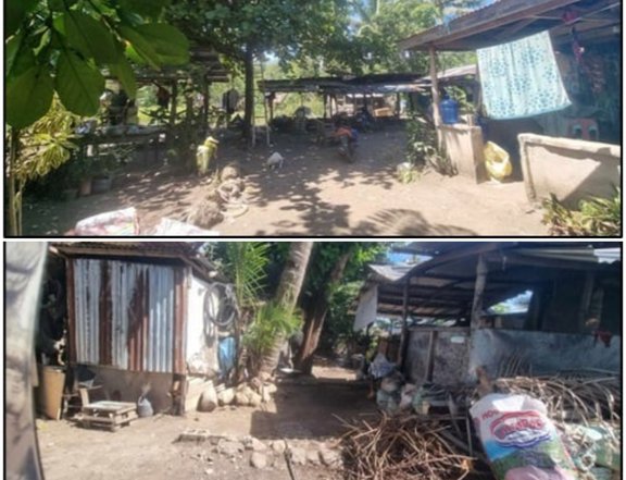 248 sqm Residential Lot for Sale in Catmon, Cebu