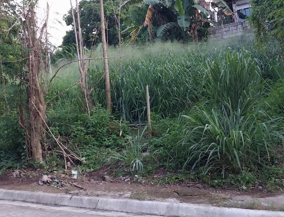 180 sqm residential lot for sale in antipolo rozal