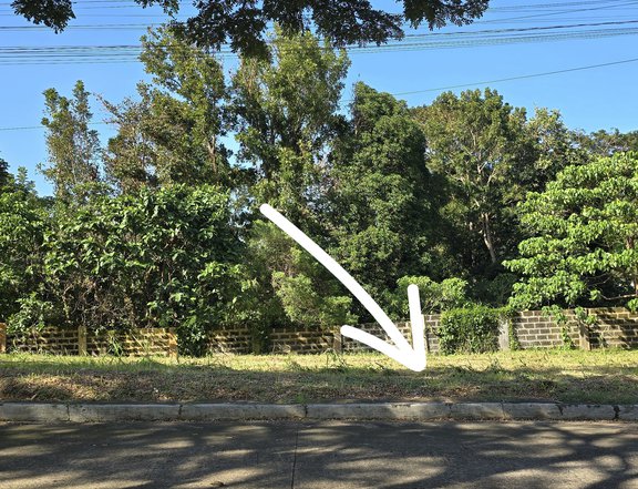 Residential Lot for sale in Lipa Batangas