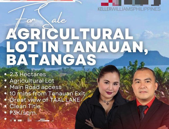 2.3 hectares Farm Lot For Sale with Taal Lake View in Tanauan, Batangas City