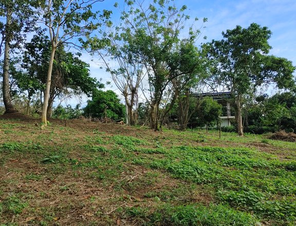 Elevated foggy Mini-farm lot near Tagaytay