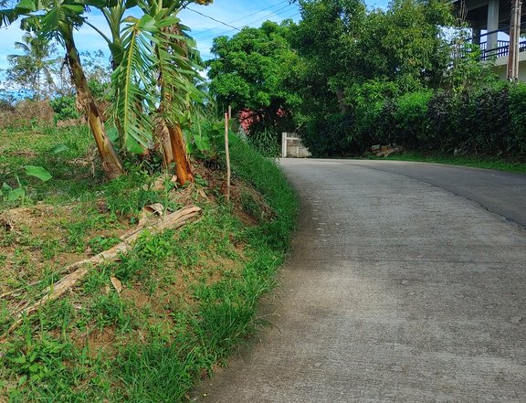 MINI-FARM LOT NEAR TAGAYTAY