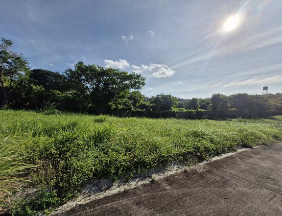 120 sqm Residential Lot for Sale in Silang Cavite