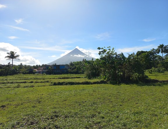 6,505 sqm Beachfront Property For Sale in Bacacay Albay