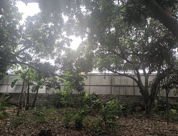 5166sqm at 40k per sqm negotiable for serious buyer