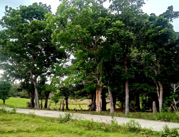 Near white beach farm, residential lot