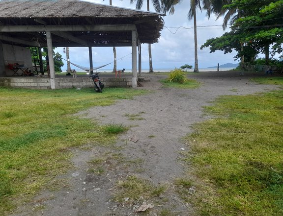 Titled Beach property