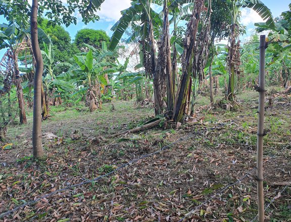 500 sqm Farm Lot For Sale in Tanay Rizal