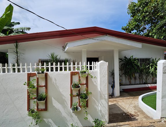 3 bedroom house + maid house for sale Panglao Bohol