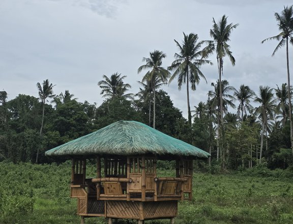 1,000 sqm Residential Farm For Sale in Indang Cavite