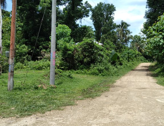 RESIDENTIAL LOT FOR SALE IN ANISLAG CORELLA BOHOL