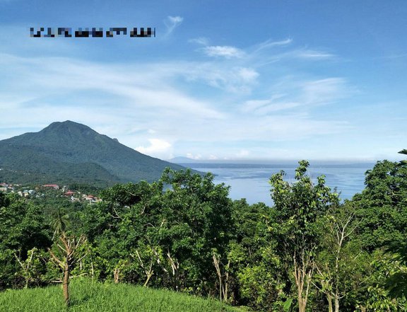 1.94 hectares Farm Lot For Sale in Mataasnakahoy Batangas