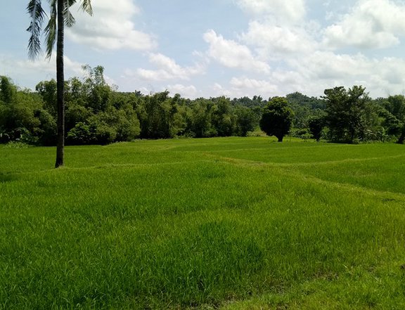 90000 sqm Agricultural Farm For Sale By Owner in Tigbauan Iloilo