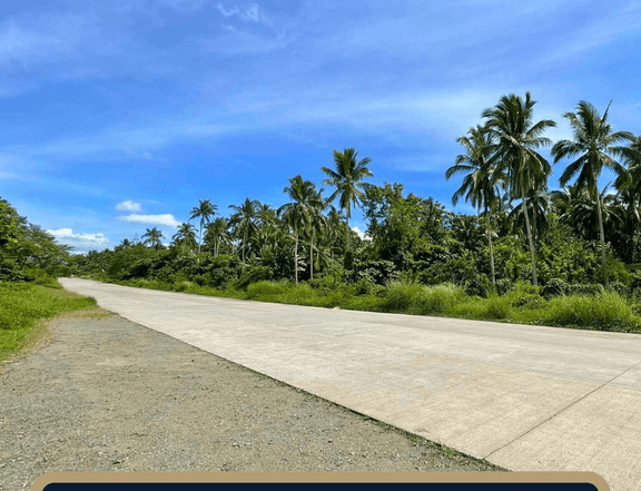 1.5 Hectares Lot for Sale in Lipa, Batangas