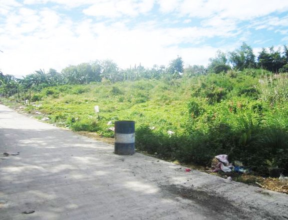 Two Hectares Rawland in Consolacion