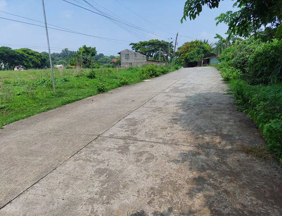 Lot for Sale in Trece Martires Cavite along main road clean title!