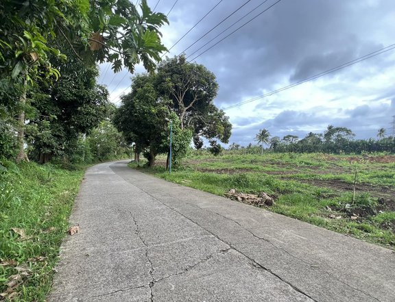 5 years to pay Installment Residential Farm Lot for sale in Bailen Cavite