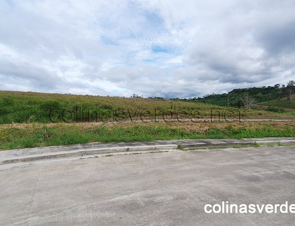 235 sqm Residential Lot For Sale in Colinas Verdes