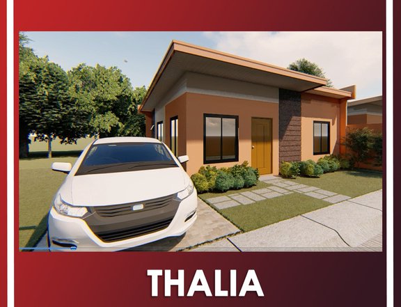 Thalia Single Detached Pre-Selling