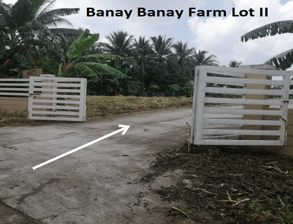 Residential Farm Lot @ Amadeo Cavite