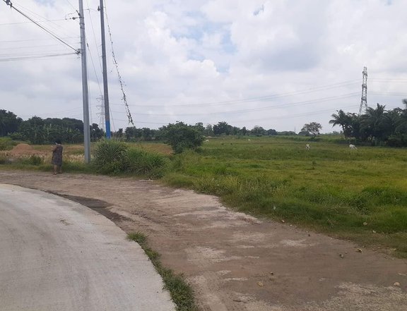 Lot for Sale in Ibaan Batangas