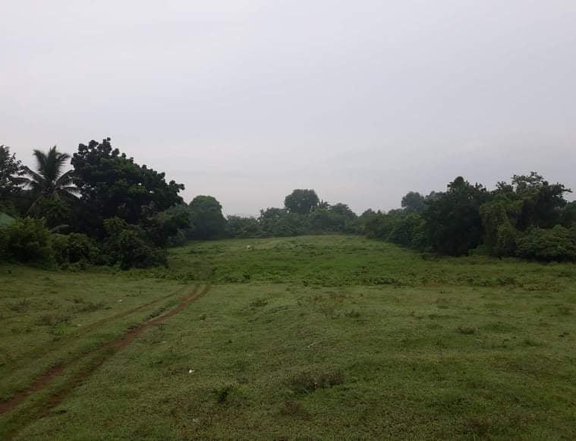 3 Hectare Lot in Ibaan Batangas