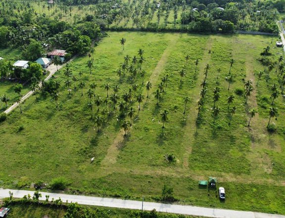 LOT FOR SALE IN LAIYA SAN JUAN BATANGAS