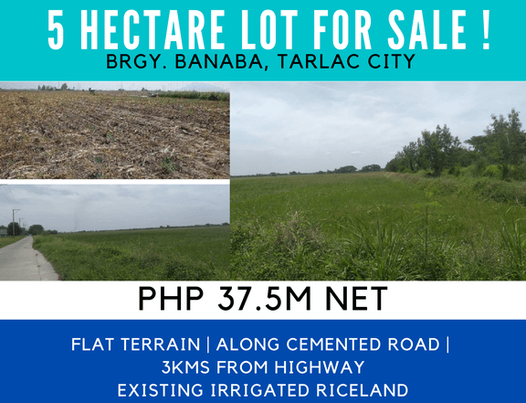 5 Hectare lot for sale in Tarlac