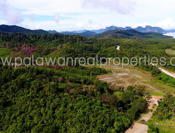 AFFORDABLE CLEAN TITLED COMMERCIAL PROPERTY FOR SALE IN EL NIDO