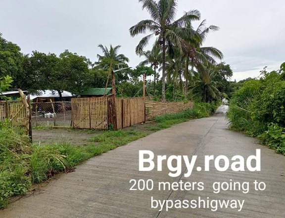 Titled Residential Farm Lot in Tagaytay City