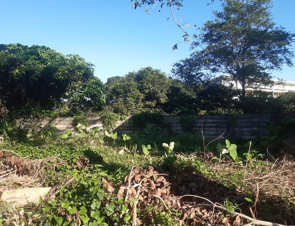 Affordable Lot  in General Trias Cavite