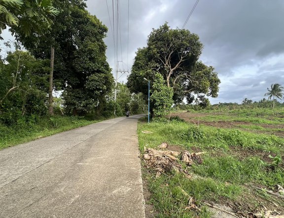 Along Brgy. Road Farm Lot for sale in Alfonso near Tagaytay