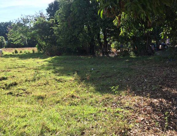 2500 sqm Residential Farm For Sale in Alaminos Pangasinan