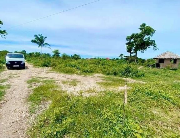 Residential/Commercial Lot for Sale in Panglao Island