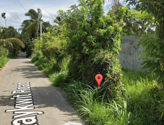 1000SQM Farm Lot Clean Title Along Provl. Road very Near Tagaytay